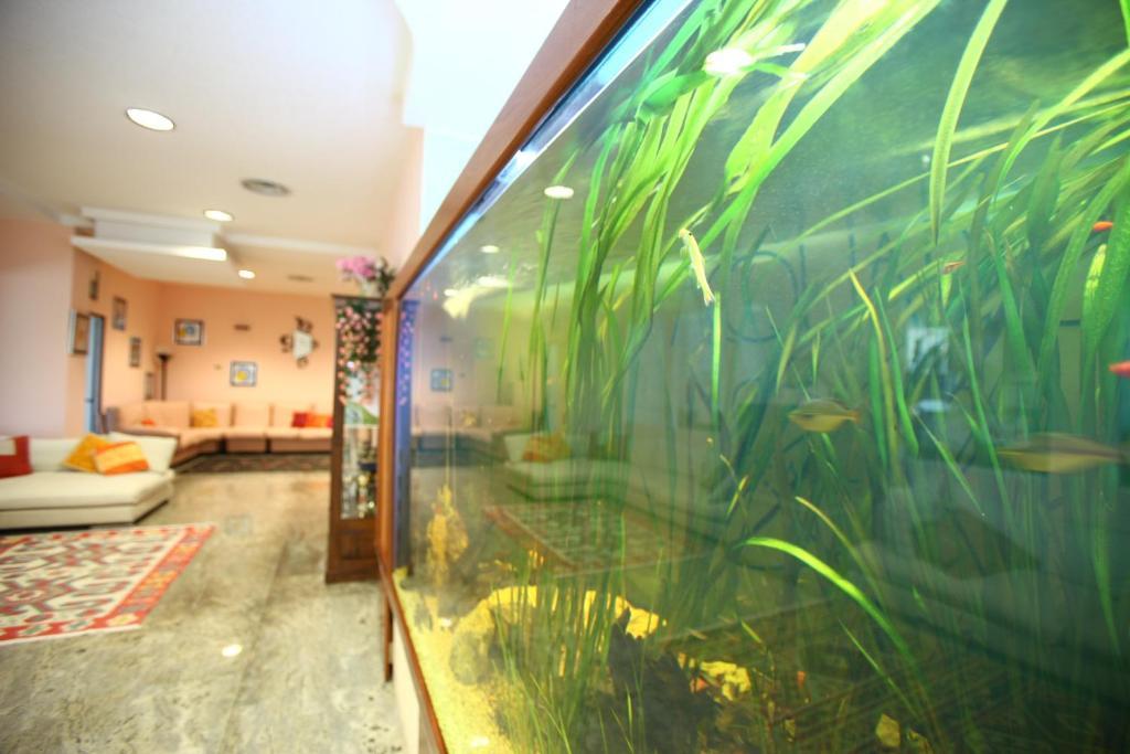 Hotel Acquario Campomarino  Esterno foto
